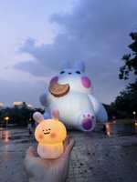 屏東市中秋玉兔提燈　民眾大雨中排隊千份送完