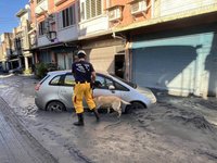 高市特搜隊馳援花蓮光復鄉救災  救出3人1犬