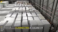 義大利破獲史上最大私菸廠　查扣逾150公噸假菸