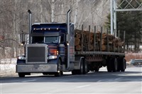 川普加徵進口木材家具關稅　恐加劇美國房市壓力