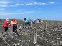 彰化啟動文化藍帶2.0　5走讀路線感受人文魅力