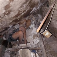 菲律賓宿霧強震　勇犬魯克護主受傷成瓦礫英雄