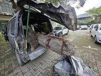 宜蘭警林破獲盜取扁柏案　查獲市價12萬元珍貴林木