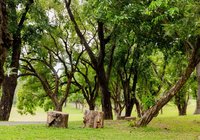高球場變公園首例　高雄果嶺自然公園10日開放