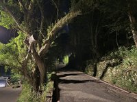 新北新店男子倒臥路邊遭輾不治　計程車司機涉過失致死