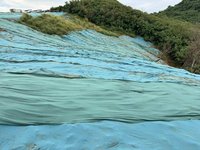 蘇清泉指核三廠外砍林種光電　台電：皆在廠區