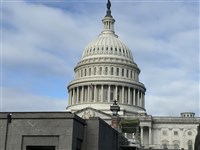 美共和黨議員辦公室驚見納粹符號　國會警察調查