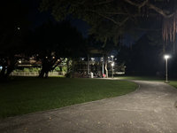 議員指圓山自然景觀公園髒亂　北市府：會勘後改善