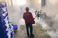 台南職場群聚增2例本土登革熱　市府21日開應變會議