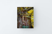 「夜官巡場」法譯版問世 張嘉祥赴巴黎、里昂宣傳