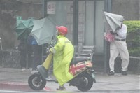 颱風外圍環流釀豪雨　票交所：停班地區退票從寬處理