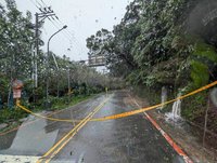 北市風雨不斷　陽明山土石滑落、路樹傾倒