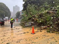 雨襲新北汐止　康寧街樹倒土石滑落、車道封閉管制