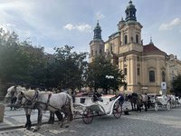 布拉格市中心將禁馬車營運　共享電動滑板車也將退場