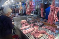 蘇貞昌：為守上億豬肉產業　應檢視防疫環節是否落實