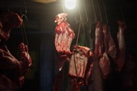 學者：禁廚餘養豬是必要  高溫烹煮仍有非洲豬瘟風險