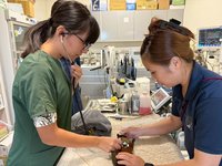 南投林保分署攜手九九峰動物園 強化野生動物救護