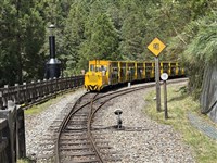 太平山國家森林遊樂區24日恢復開園