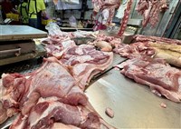 防範非洲豬瘟　食安辦：民眾應注意豬肉合法來源