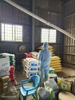 高雄全面禁廚餘養豬　4家廚餘養豬場改以飼料餵養