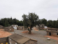 金門賈村戰技體驗場活化  業者盼發展戰地體驗軸線