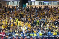 中信兄弟無緣連霸　教頭平野惠一：都是我的責任