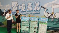 千隻黑面琵鷺現身　「鷺境嘉義」親子賞鳥季將登場
