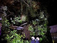 台北南港舊莊街邊坡坍方老樹滑落　幸無人受傷