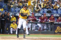 中職金手套獎出爐　江坤宇游擊手6連霸寫歷史