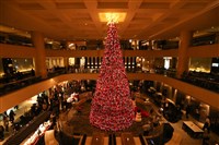 旅宿業中階移工最快115年開放　業者反應不一