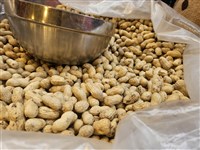 防黃麴毒素　食藥署訂花生脫殼業者衛生管理指引