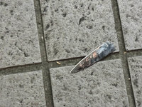 新北男疑感情糾紛　持刀傷害姊妹後墜樓亡