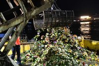 曼谷清理近40萬個水燈　環保抬頭數量年少24%