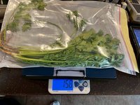 北市抽驗生鮮蔬果　多件青蔥、香菜殘留農藥超標