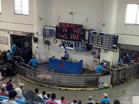 高市活豬拍賣恢復　4大肉品市場均價略增