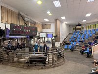 毛豬拍賣價偏高　苗縣：供不應求已協調增加拍賣量