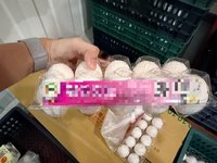 雞蛋農藥芬普尼超標　高雄賣場未主動通知消費者將遭罰
