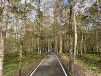 颱風鳳凰影響　花蓮森林育樂場域預警性休園