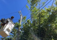 颱風鳳凰逼近　台電全力戒備動員4千人待命