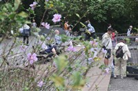 各地多雲到晴下午起東北季風增強　中南部可達33度