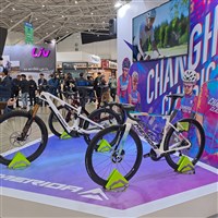 自行車雙雄公布10月業績　巨大、美利達營收續減