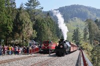 第二屆觀光亮點獎  阿里山林鐵獲選最佳國際推薦獎