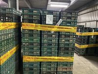 芬普尼雞蛋風波　國民黨團：食藥署應有積極作為