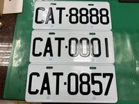 貓奴夢幻車牌　CAT8888最夯決標57.6萬
