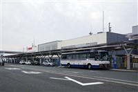 日本花卷機場停機坪有熊現蹤　跑道一度關閉