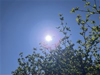 東北季風減弱　各地多為晴到多雲、天氣溫暖穩定