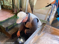 屏東萬丹登革熱控制關鍵期 疾管署副署長南下視察