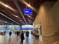 布拉格長期面臨公廁不足　擬全面擴建改善城市整潔