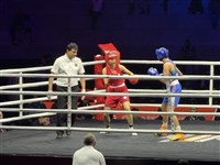 吳詩儀不敵世錦賽金牌　WB盃拳擊年終賽摘銀