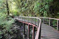 特富野古道設施改善工程  獲永續與環境美學獎